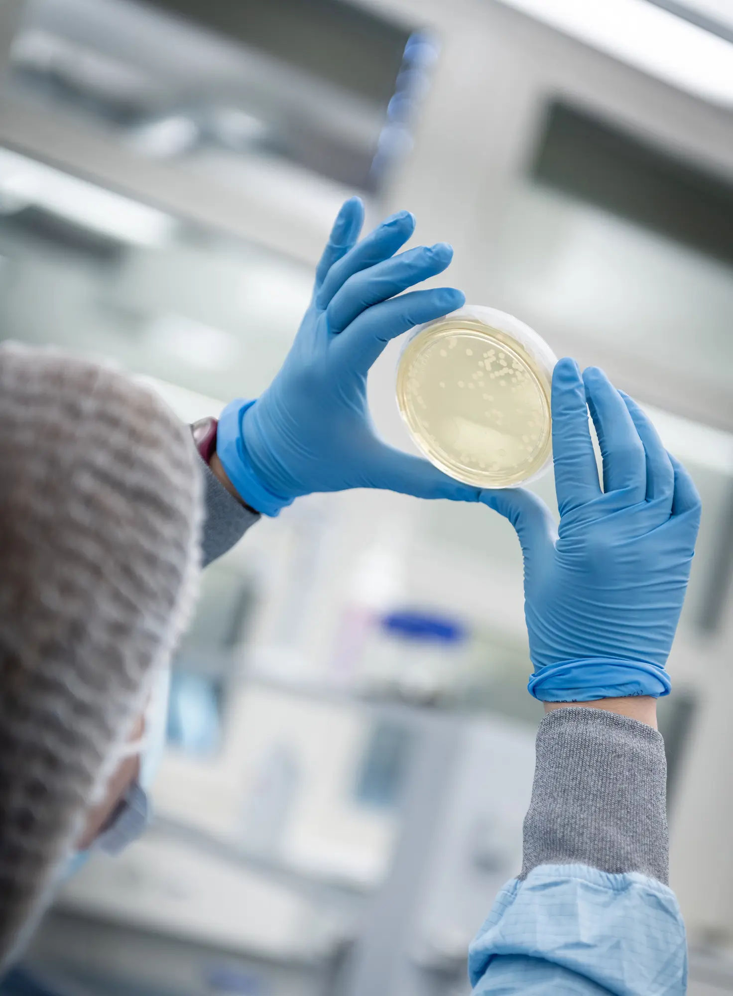 Laborantin prüft den Inhalt einer Petrischale